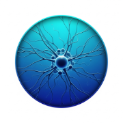 Axon Flow AI logo